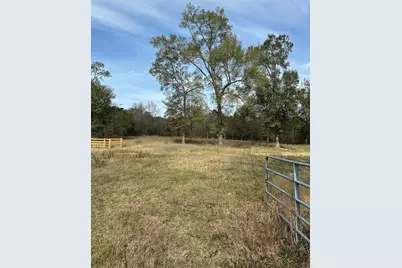 4761 Jackson Road, Montgomery, TX 77316 - Photo 5