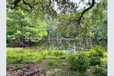 4761 Jackson Road, Montgomery, TX 77316 - Photo 7