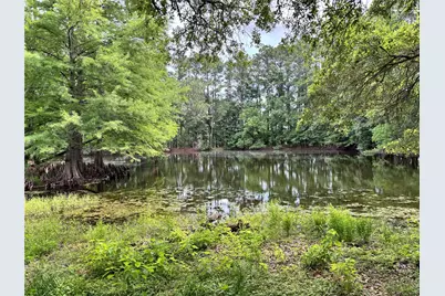 4761 Jackson Road, Montgomery, TX 77316 - Photo 5