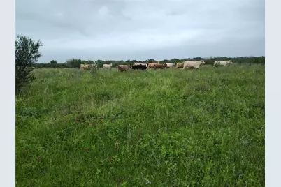 Tbd County Road 108, Iola, TX 77861 - Photo 13