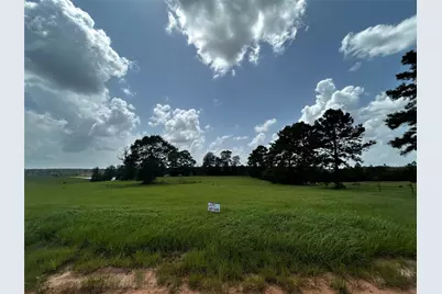 Lot 329 Madison Lake Loop, Hillister, TX 77624 - Photo 3