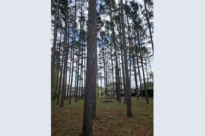 86 County Road 3541, Cleveland, TX 77327 - Photo 13