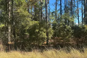 004 County Road 219, Brookeland, TX 75931 - Photo 1