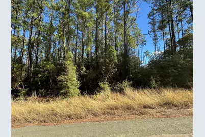 004 County Road 219, Brookeland, TX 75931 - Photo 7