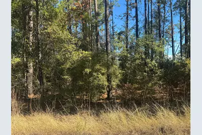 004 County Road 219, Brookeland, TX 75931 - Photo 5