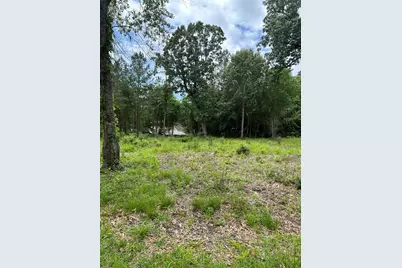 12 Timberglen, Livingston, TX 77351 - Photo 3