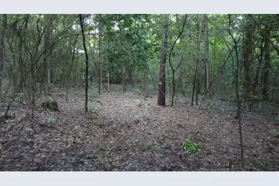 210 Red Hawk Road, Huntsville, TX 77340 - Photo 3