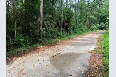 Lot 14 Bluebonnet Street, Newton, TX 75966 - Photo 5