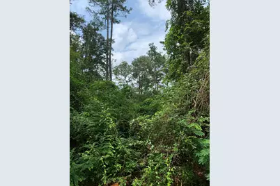 Lot 14 Bluebonnet Street, Newton, TX 75966 - Photo 9