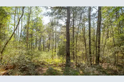 000 Bighorn Road, Huntsville, TX 77358 - Photo 19
