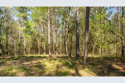 000 Bighorn Road, Huntsville, TX 77358 - Photo 21