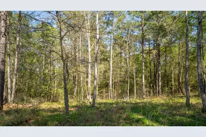 000 Bighorn Road, Huntsville, TX 77358 - Photo 25