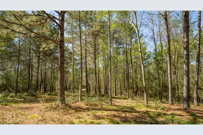 000 Bighorn Road, Huntsville, TX 77358 - Photo 17