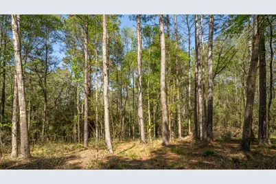 000 Bighorn Road, Huntsville, TX 77358 - Photo 15