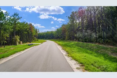 10886 Ruger Road, Willis, TX 77378 - Photo 23