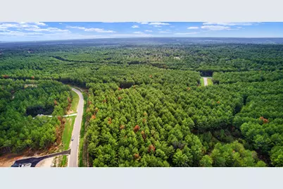 10886 Ruger Road, Willis, TX 77378 - Photo 13