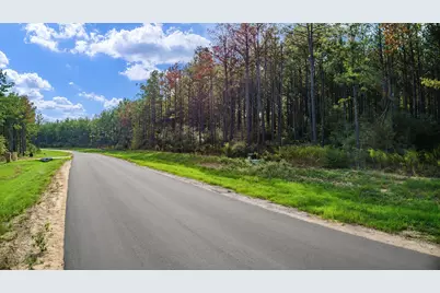 10886 Ruger Road, Willis, TX 77378 - Photo 25