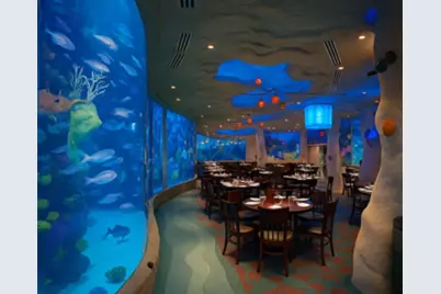 3316 N Macgregor Way #4, Houston, TX 77004 - Photo 23