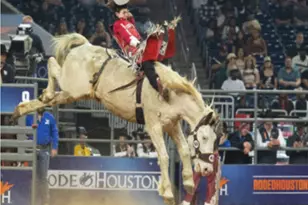 3316 N MacGregor Way, Houston, TX 77004 - Photo 35