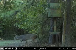 610 Private Road 5130, Woodville, TX 75979 - Photo 31