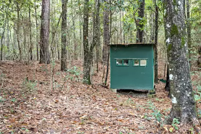 610 Private Road 5130, Woodville, TX 75979 - Photo 29