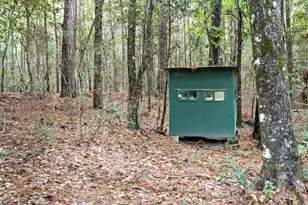 610 Private Road 5130, Woodville, TX 75979 - Photo 29