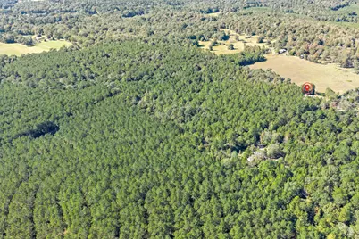 610 Private Road 5130, Woodville, TX 75979 - Photo 49