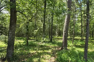 000 Tbd Hwy 150 W, Coldspring, TX 77331 - Photo 1