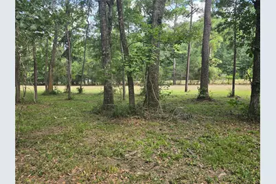 000 Tbd Hwy 150 W, Coldspring, TX 77331 - Photo 1