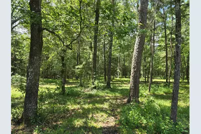 000 Tbd Hwy 150 W, Coldspring, TX 77331 - Photo 5