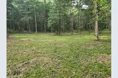 000 Tbd Hwy 150 W, Coldspring, TX 77331 - Photo 3