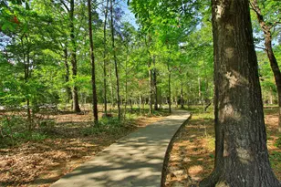 7 Vershire Cir, The Woodlands, TX 77354 - Photo 49