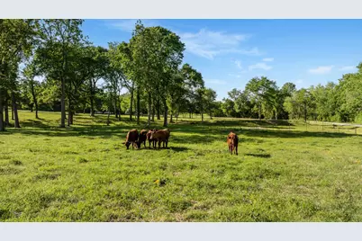 2355 Jackson League Circle, Brenham, TX 77833 - Photo 49