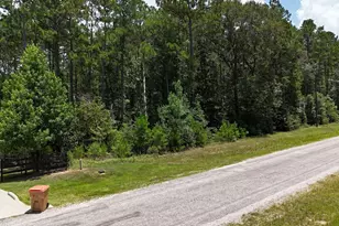 Tbd Shadowlane Ct, Huntsville, TX 77340 - Photo 1