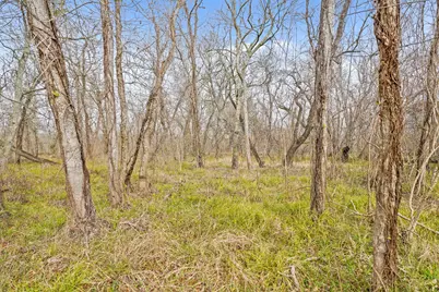 17502 Red Fork Drive, Rosharon, TX 77583 - Photo 3