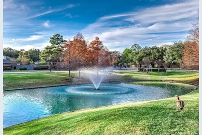 8914 Sunny Point Drive, Spring, TX 77379 - Photo 45