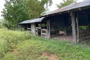 2832 County Rd 310, Brazoria, TX 77422 - Photo 13