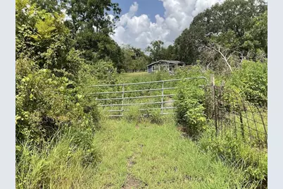 2832 County Road 310, Brazoria, TX 77422 - Photo 1