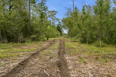 9983 US Hwy 287 E, Corrigan, TX 75939 - Photo 13