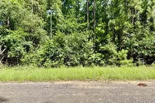 Tbd Spring Creek Dr, Coldspring, TX 77331 - Photo 1