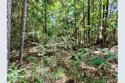 Tbd Spring Creek Drive, Coldspring, TX 77331 - Photo 3