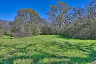 000 Zettel Rd, New Ulm, TX 78950 - Photo 1