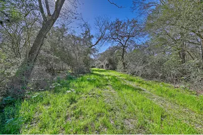 000 Zettel Road, New Ulm, TX 78950 - Photo 5