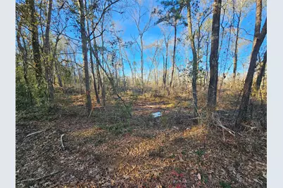 Lot 4 Sherwood Drive, Shepherd, TX 77371 - Photo 15