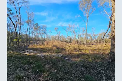 Lot 4 Sherwood Drive, Shepherd, TX 77371 - Photo 13