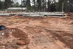 16863 Deep Wingbat Way, Magnolia, TX 77354 - Photo 13