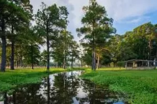 15710 Starcreek Ln, Houston, TX 77044 - Photo 39