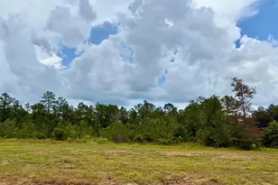 13190 Blackberry Dr, Lumberton, TX 77657 - Photo 1