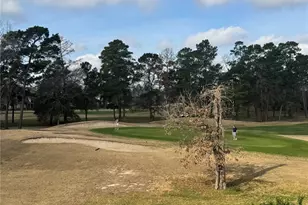 65 Shadow Creek Ridge Dr, Spring, TX 77389 - Photo 35