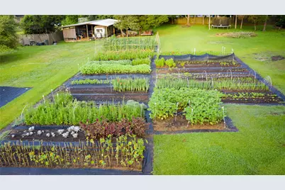 661 Old Plantersville Road, Montgomery, TX 77316 - Photo 37